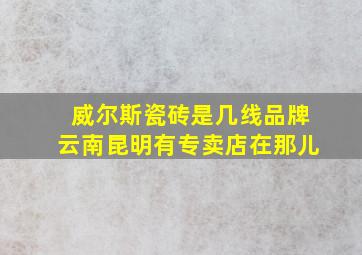 威尔斯瓷砖是几线品牌云南昆明有专卖店在那儿