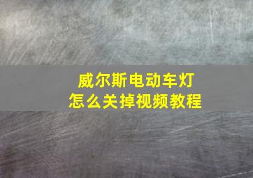 威尔斯电动车灯怎么关掉视频教程