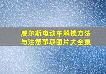 威尔斯电动车解锁方法与注意事项图片大全集