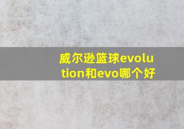 威尔逊篮球evolution和evo哪个好