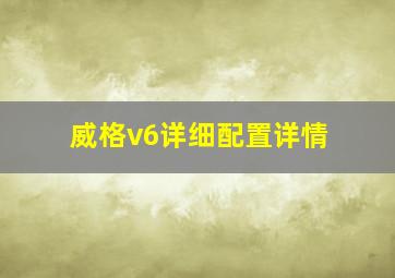 威格v6详细配置详情