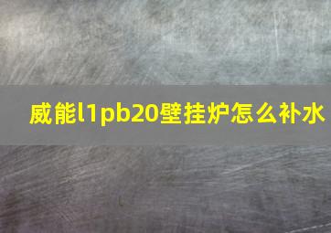 威能l1pb20壁挂炉怎么补水