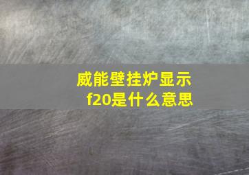 威能壁挂炉显示f20是什么意思