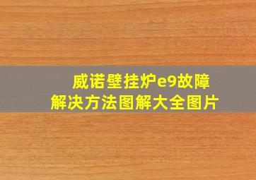 威诺壁挂炉e9故障解决方法图解大全图片