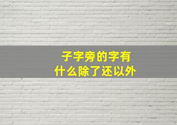 子字旁的字有什么除了还以外