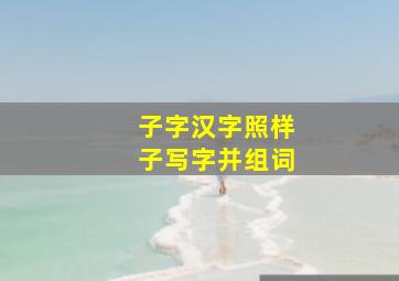 子字汉字照样子写字并组词