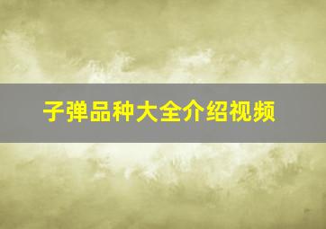 子弹品种大全介绍视频