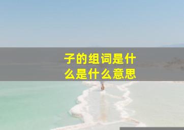 子的组词是什么是什么意思