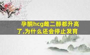 孕酮hcg雌二醇都升高了,为什么还会停止发育