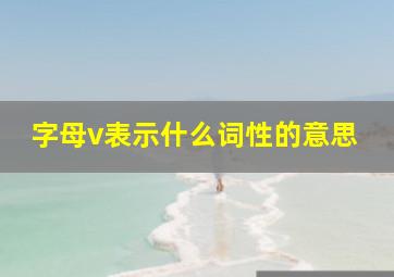 字母v表示什么词性的意思