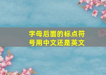 字母后面的标点符号用中文还是英文