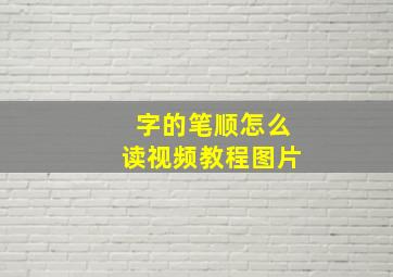 字的笔顺怎么读视频教程图片