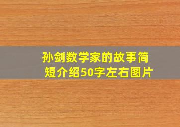 孙剑数学家的故事简短介绍50字左右图片