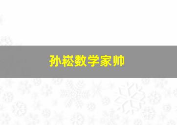 孙崧数学家帅