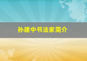 孙建中书法家简介