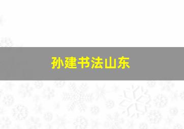 孙建书法山东