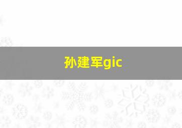 孙建军gic