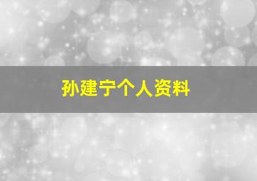 孙建宁个人资料