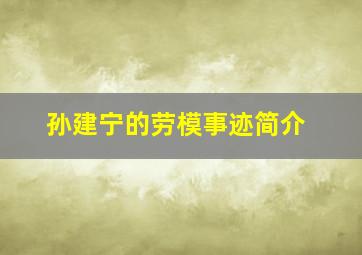 孙建宁的劳模事迹简介