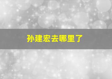 孙建宏去哪里了