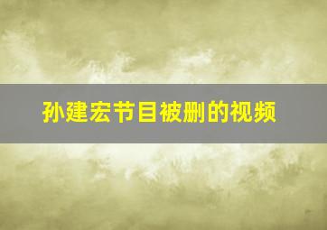 孙建宏节目被删的视频