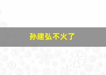 孙建弘不火了