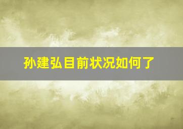 孙建弘目前状况如何了