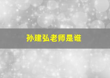 孙建弘老师是谁