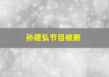 孙建弘节目被删