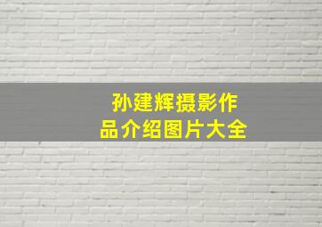 孙建辉摄影作品介绍图片大全