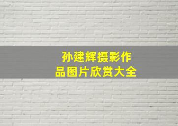 孙建辉摄影作品图片欣赏大全