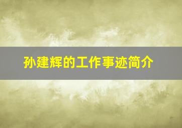 孙建辉的工作事迹简介