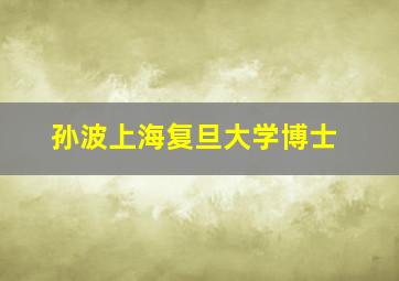 孙波上海复旦大学博士