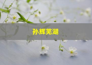 孙辉芜湖