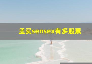 孟买sensex有多股票