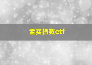 孟买指数etf