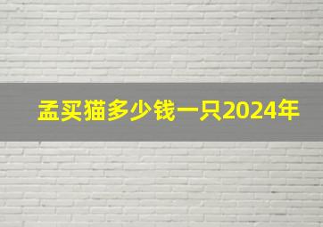 孟买猫多少钱一只2024年