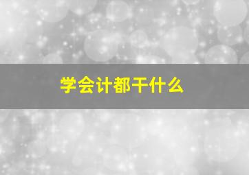 学会计都干什么