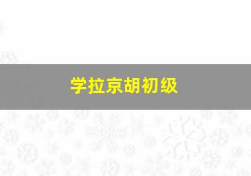 学拉京胡初级