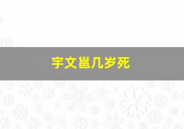 宇文邕几岁死