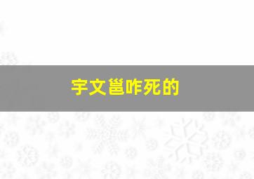 宇文邕咋死的