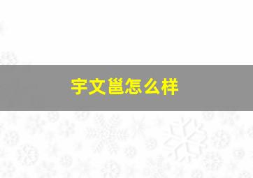 宇文邕怎么样