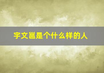 宇文邕是个什么样的人