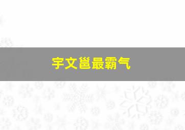 宇文邕最霸气