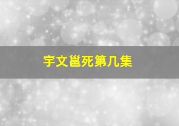 宇文邕死第几集