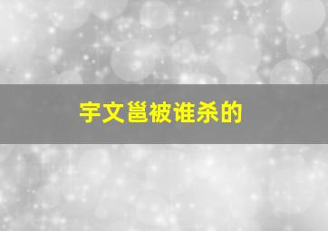 宇文邕被谁杀的