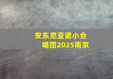 安东尼亚诺小合唱团2025南京