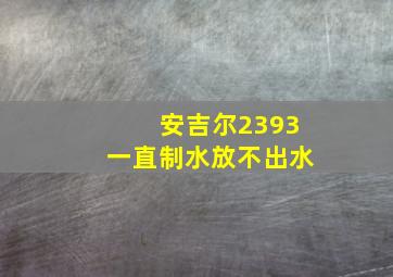 安吉尔2393一直制水放不出水