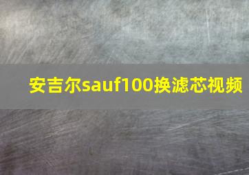 安吉尔sauf100换滤芯视频