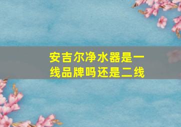 安吉尔净水器是一线品牌吗还是二线